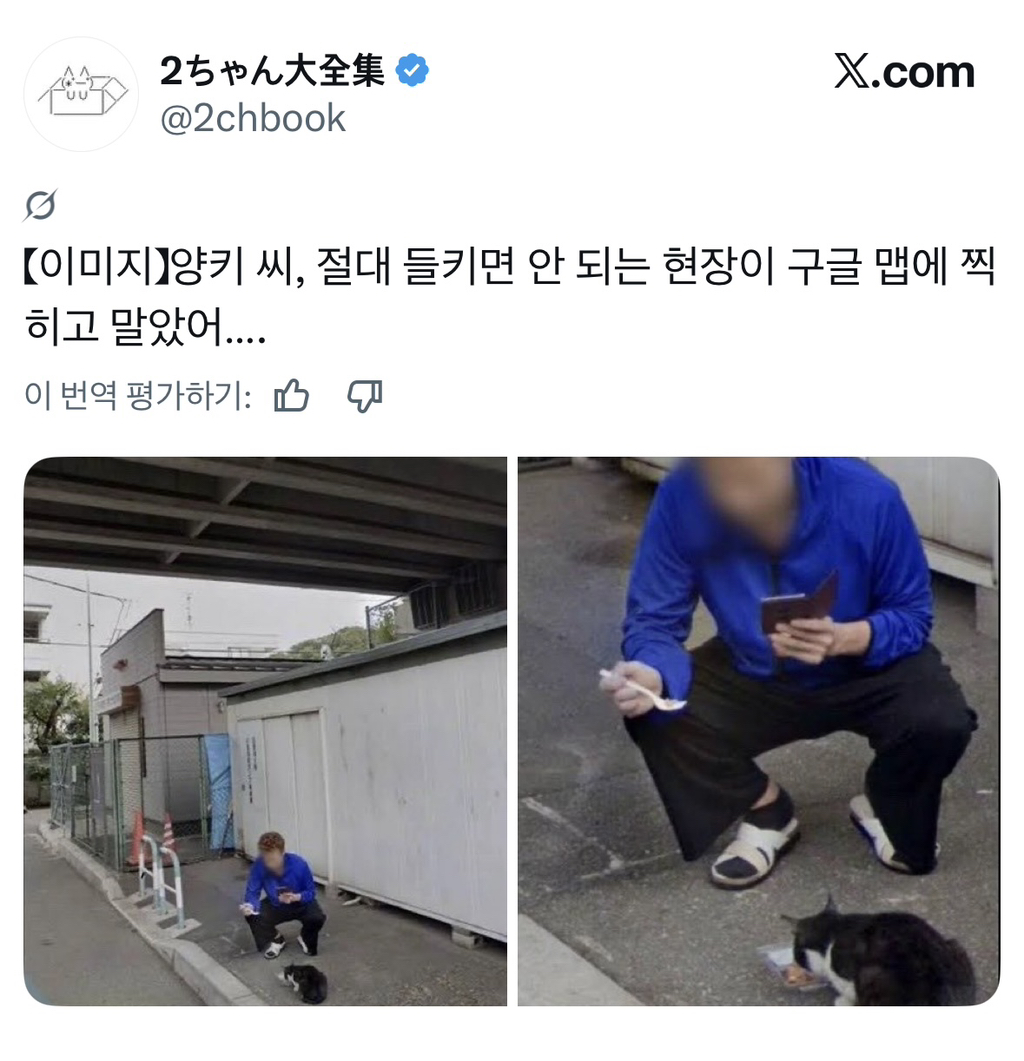 절대 들키면 안 되는 현장을 구글맵에 찍히고 만 일본 양아치 | 인스티즈