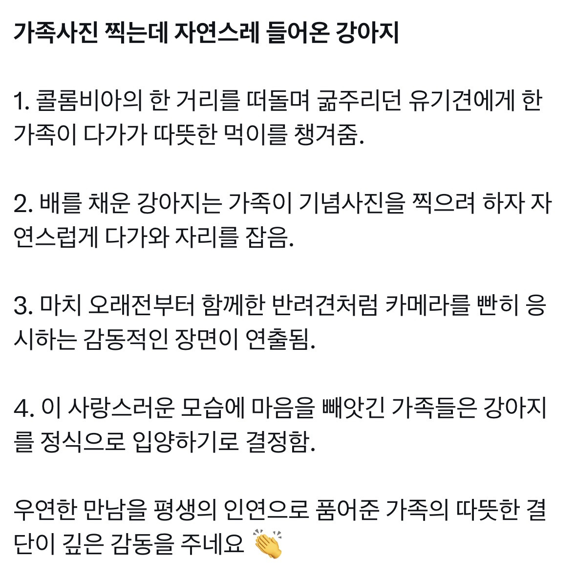 가족사진에 자연스럽게 함께 찍은 강아지 결말.jpg | 인스티즈