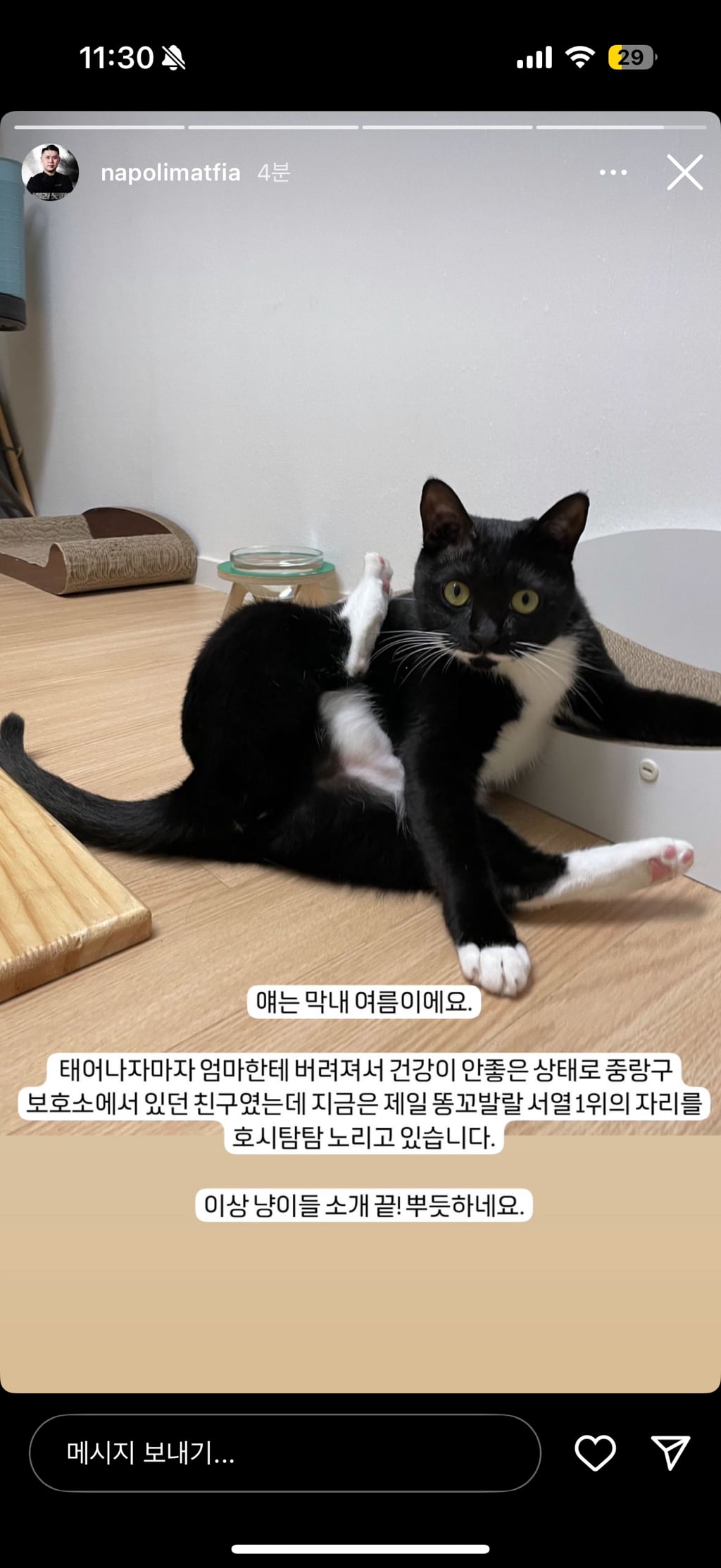 실시간 흑백요리사 나폴리 맛피아 인스스 | 인스티즈