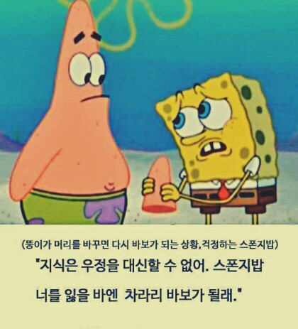 스폰지밥 뚱이의 명언 | 인스티즈