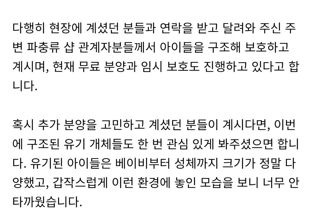 부산의 한 대학교 근처 길거리에 누가 도마뱀 100마리 유기함 | 인스티즈