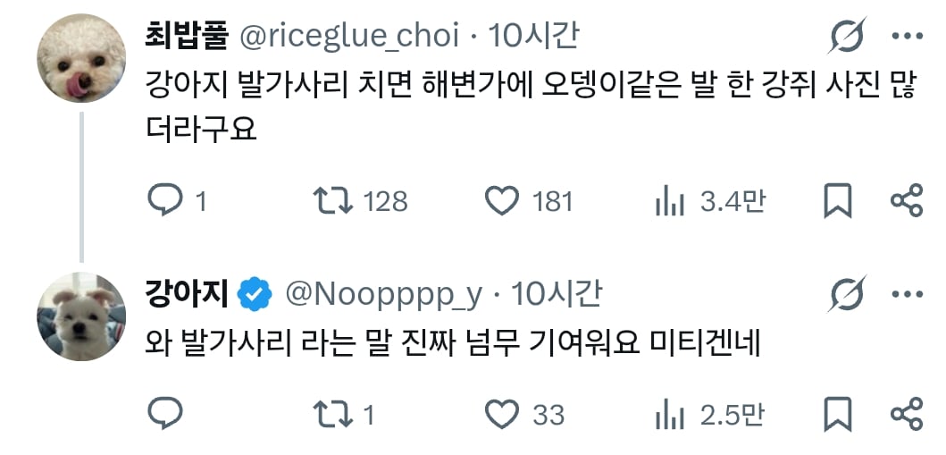 원래 강아지 모래사장 걸을 때 발바닥 쫙 피고 걸어요????? | 인스티즈