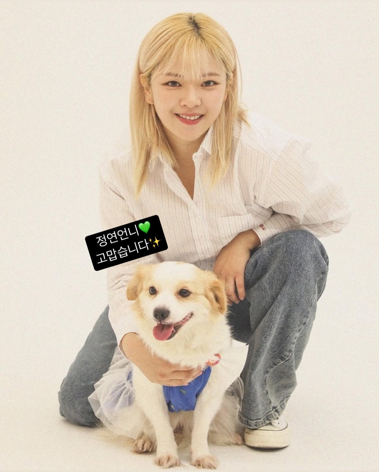 보호소에 사료가 떨어졌다는 소식이 올라오자 사료 기부한 트와이스 정연과 나폴리맛피아 | 인스티즈