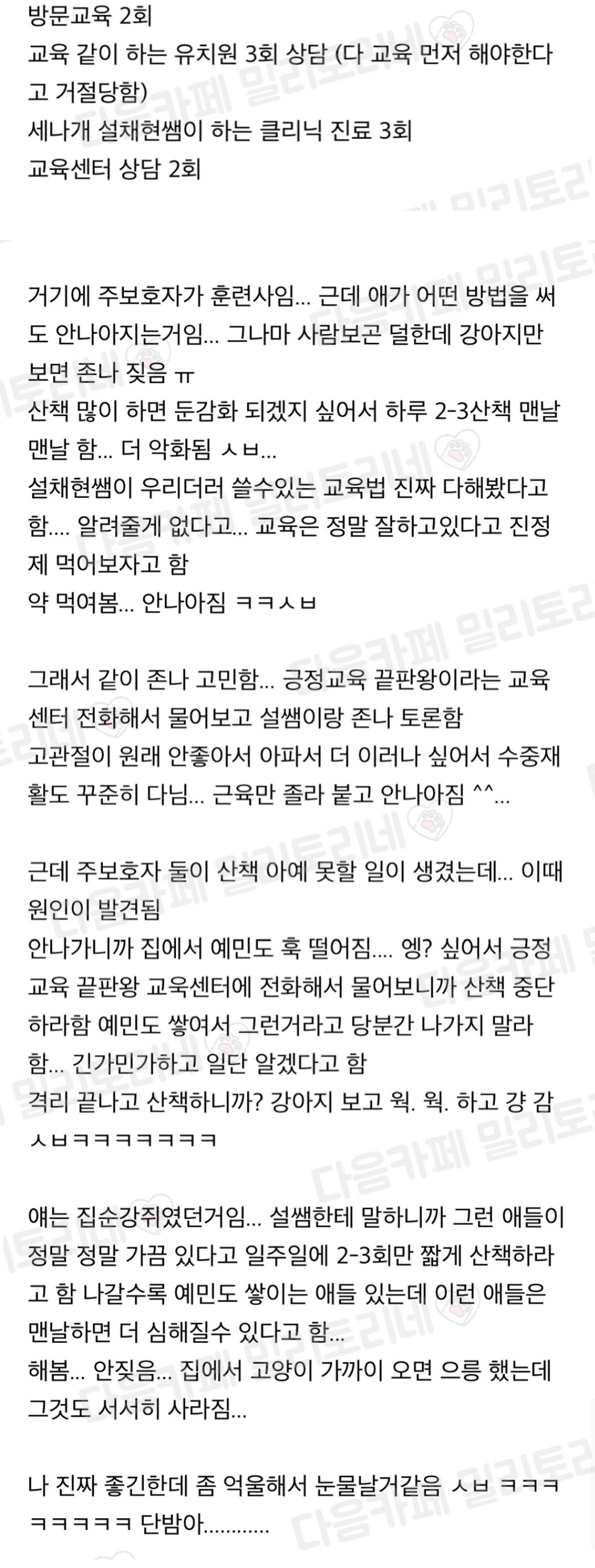울 강쥐 산책교육때문에 돈 오지게 썼는데 결론이 정말 허무해 | 인스티즈