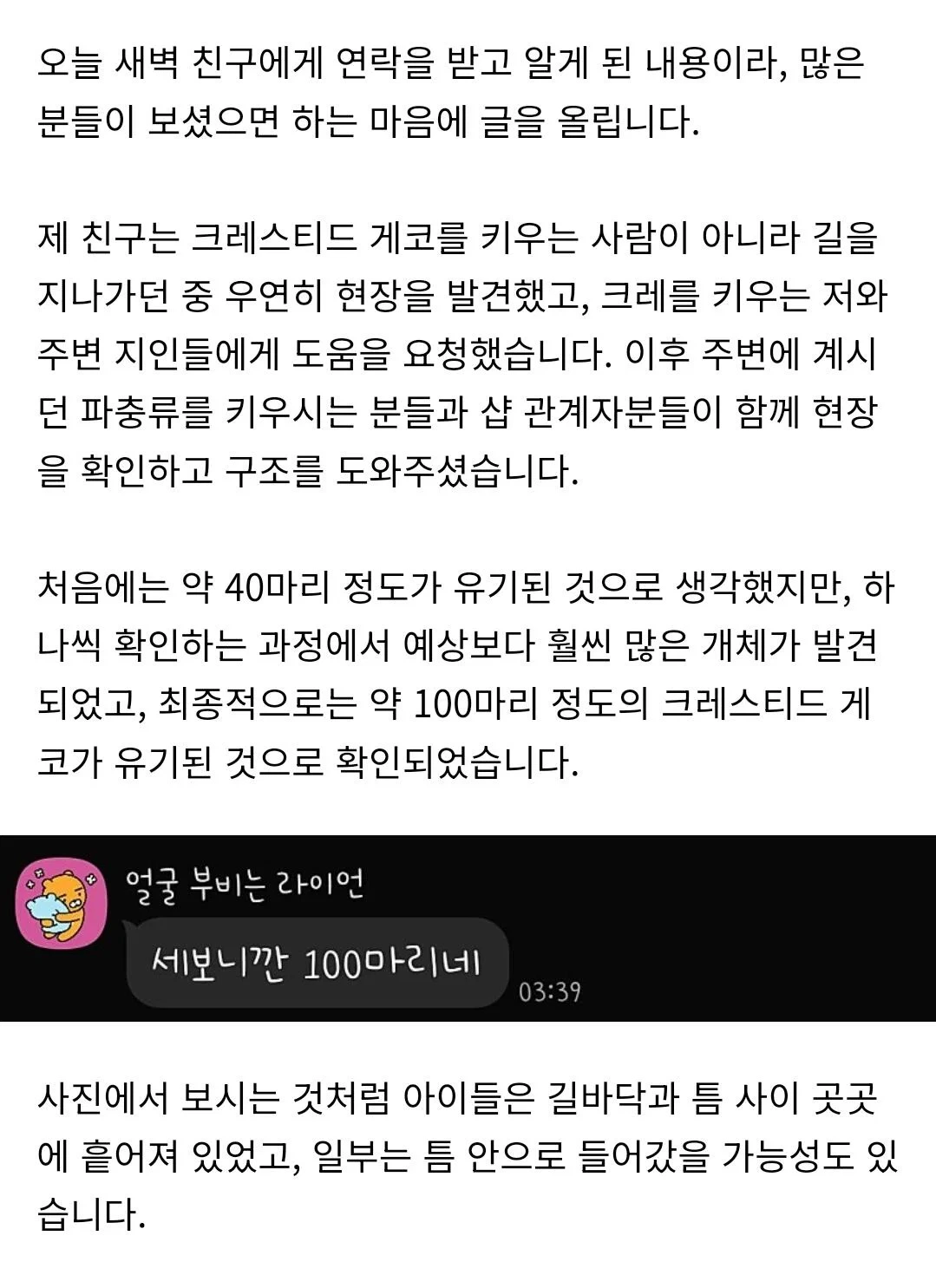 부산의 한 대학교 근처 길거리에 누가 도마뱀 100마리 유기함 | 인스티즈