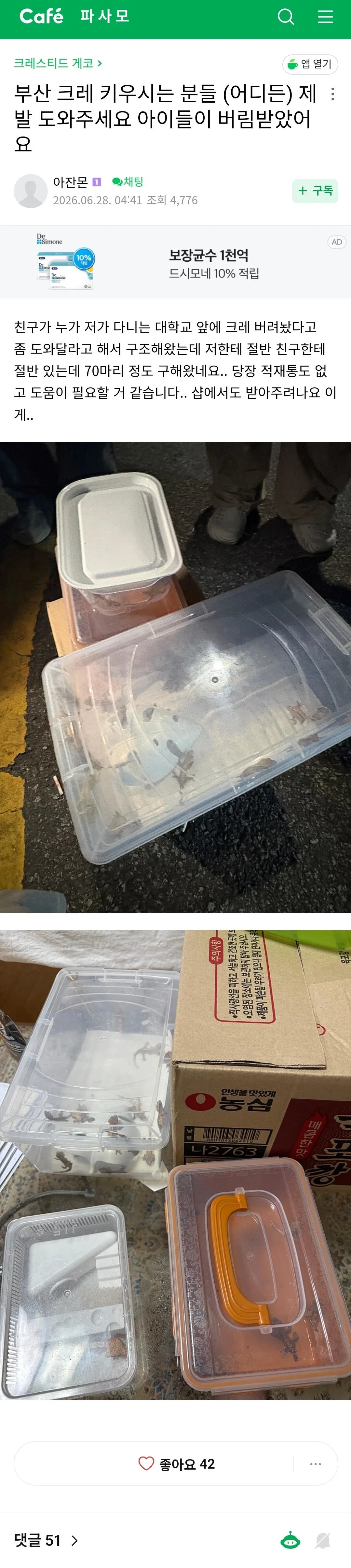 부산의 한 대학교 근처 길거리에 누가 도마뱀 100마리 유기함 | 인스티즈