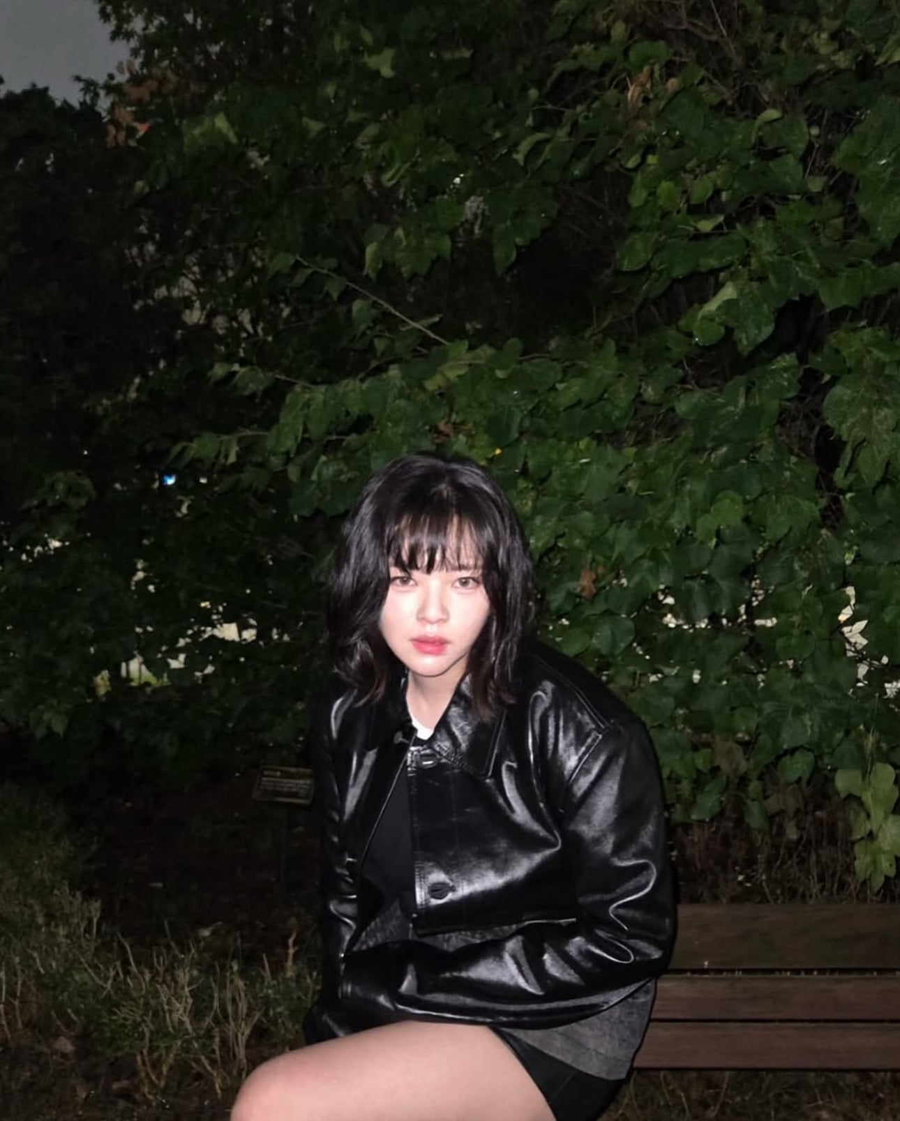 보호소에 사료가 떨어졌다는 소식이 올라오자 사료 기부한 트와이스 정연과 나폴리맛피아 | 인스티즈