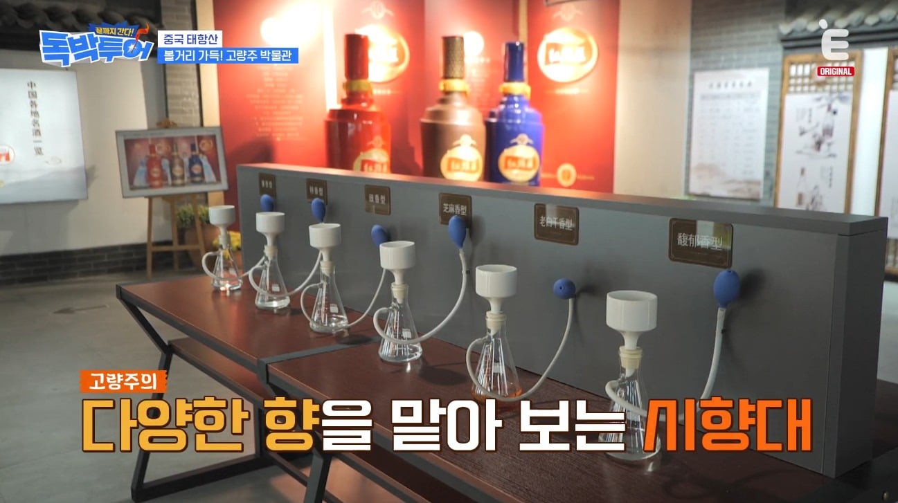 중국에 있는 고량주 숙소&박물관 내부 | 인스티즈