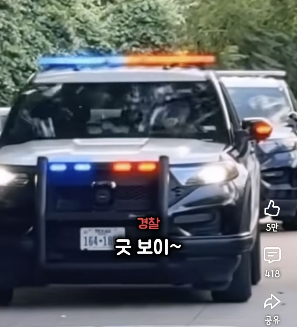 경찰 :강아지가 사람보다 낫네요 | 인스티즈