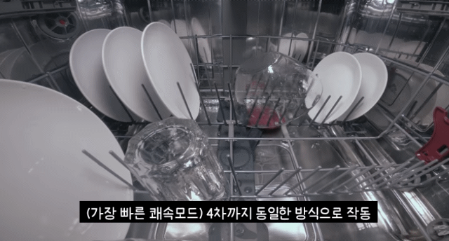 식기세척기 내부 작동모습.gif | 인스티즈