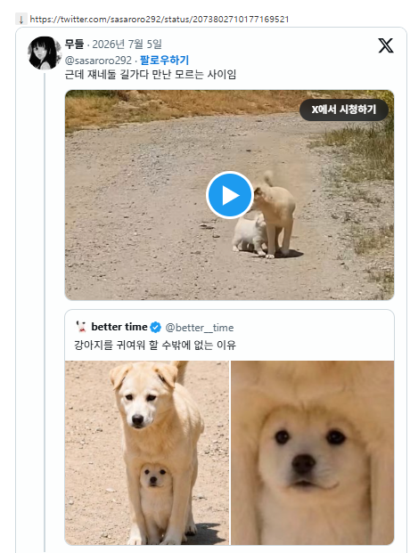 새끼 강아지 품은 엄마 강아지로 유명한 짤 사실 서로 모르는 사이라고 함 | 인스티즈