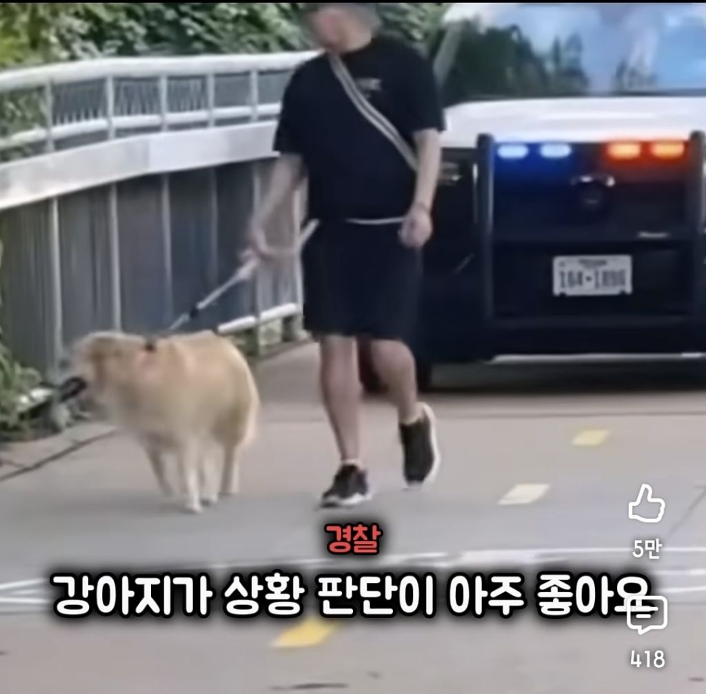 경찰 :강아지가 사람보다 낫네요 | 인스티즈