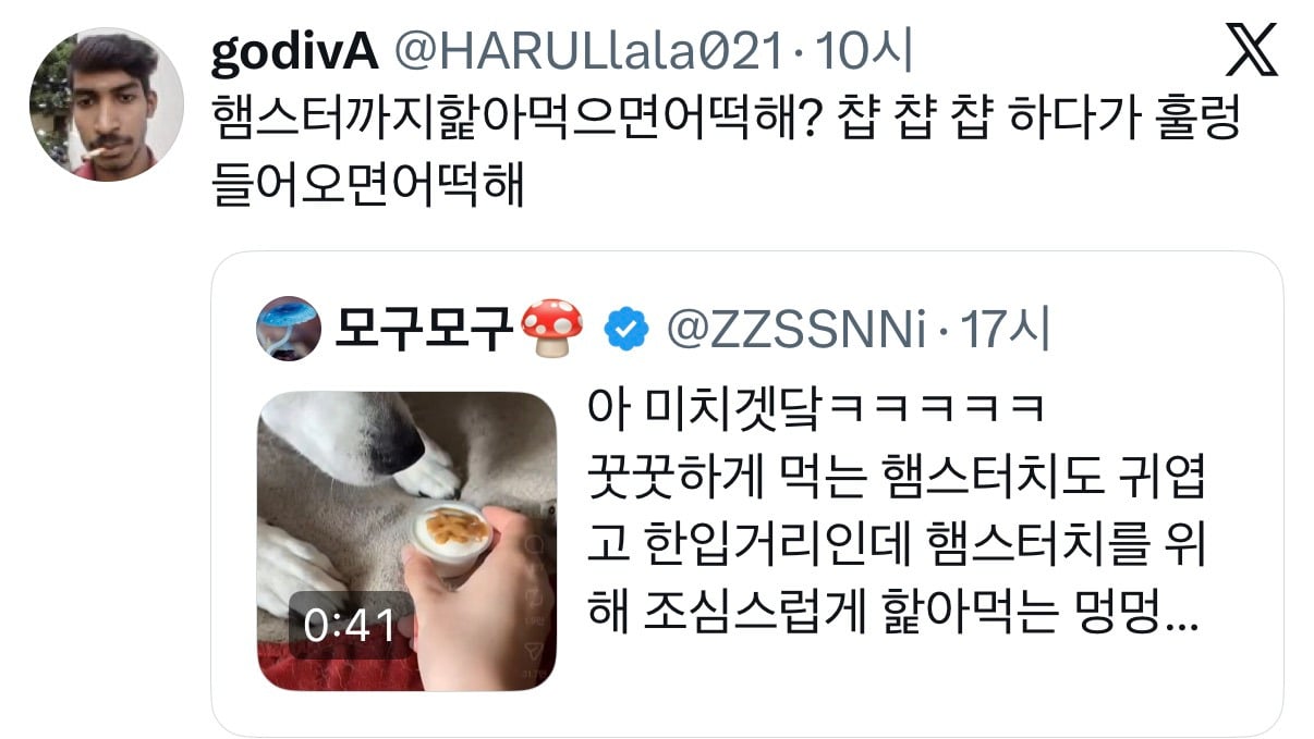 아이스크림 나눠먹는 강아지와 햄스터 | 인스티즈