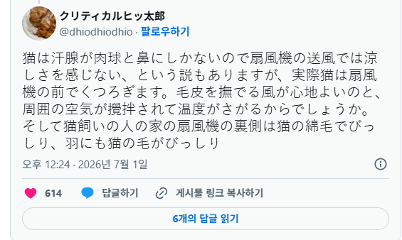 친정 엄마에게 "고양이 잘 지내?"라고 라인했더니 보내온 사진 보고 | 인스티즈