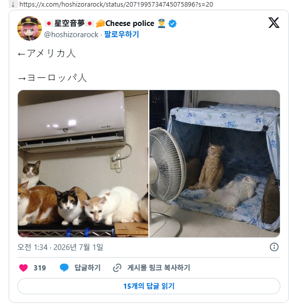 친정 엄마에게 "고양이 잘 지내?"라고 라인했더니 보내온 사진 보고 | 인스티즈