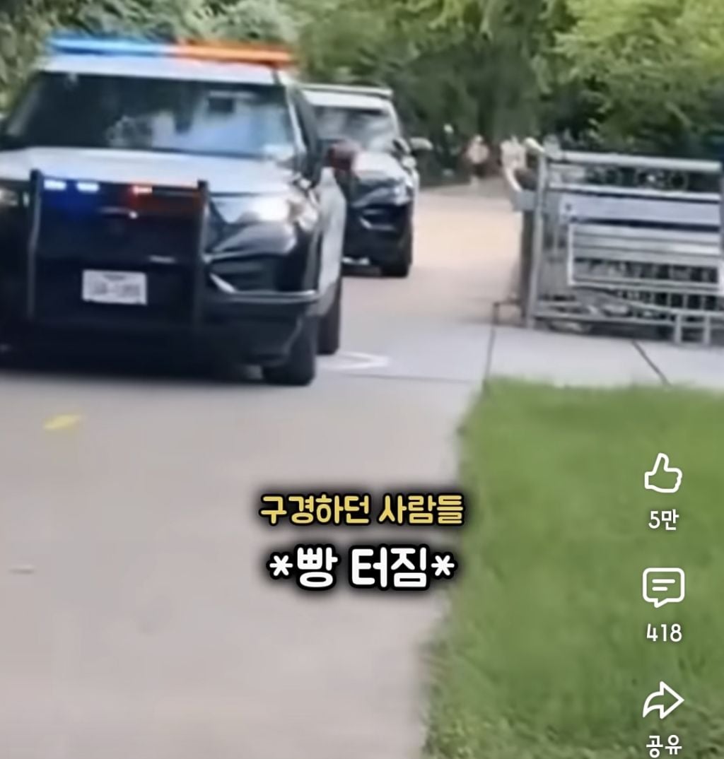 경찰 :강아지가 사람보다 낫네요 | 인스티즈