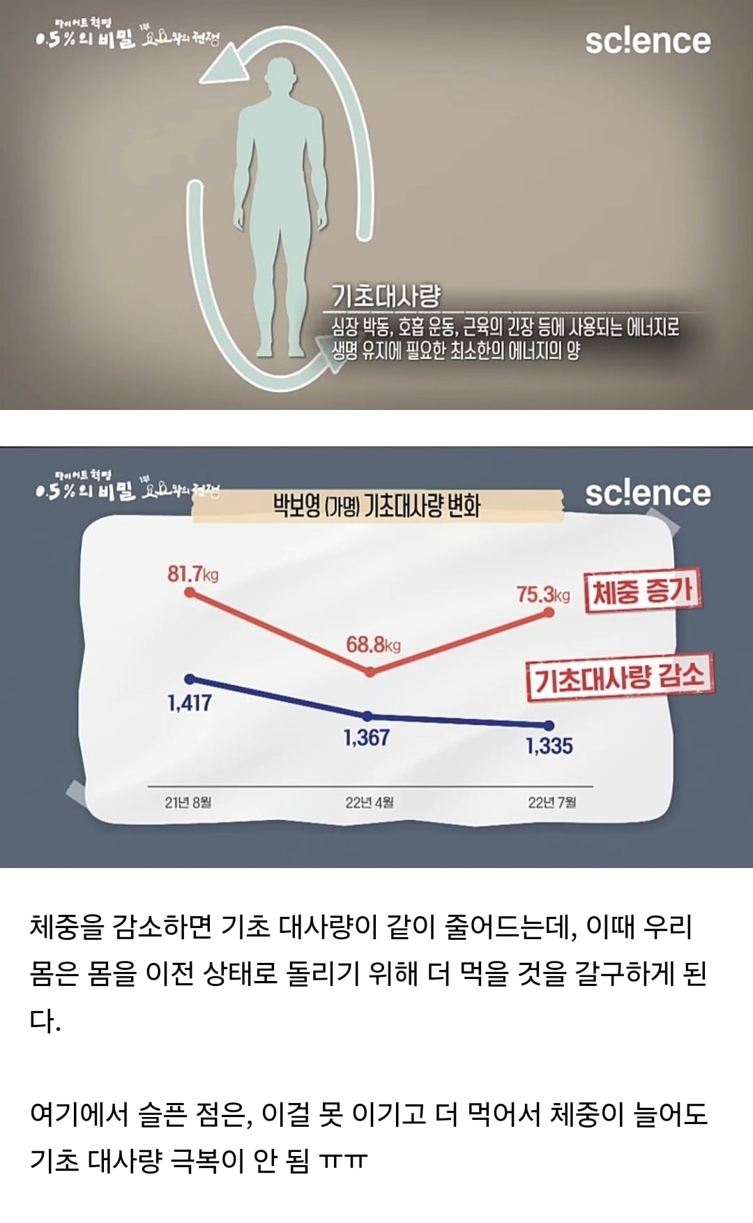 다이어트 - 요요의 매커니즘 | 인스티즈