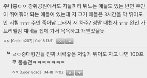 누가 댕댕이 공원에 RC카 가져옴 | 인스티즈