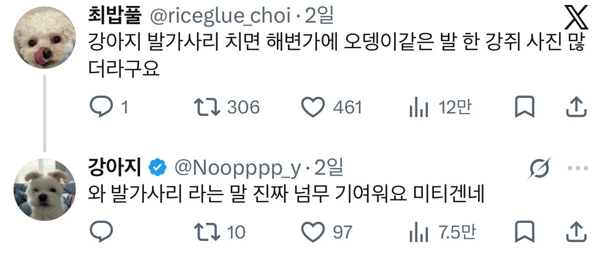아니근데 원래 강아지 모래사장 걸을 때 발바닥 쫙 피고 걸어요????????.twt | 인스티즈