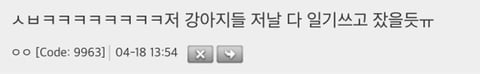 누가 댕댕이 공원에 RC카 가져옴 | 인스티즈