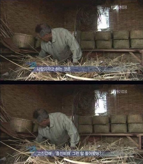다큐 3일 레전드 모음 | 인스티즈