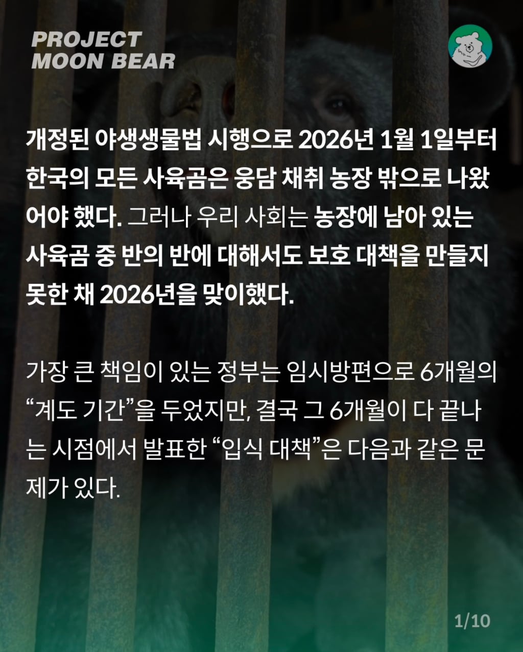 사육곰, 4억 2천만원의 지원금과 함께 체험형 동물원으로 가나? | 인스티즈