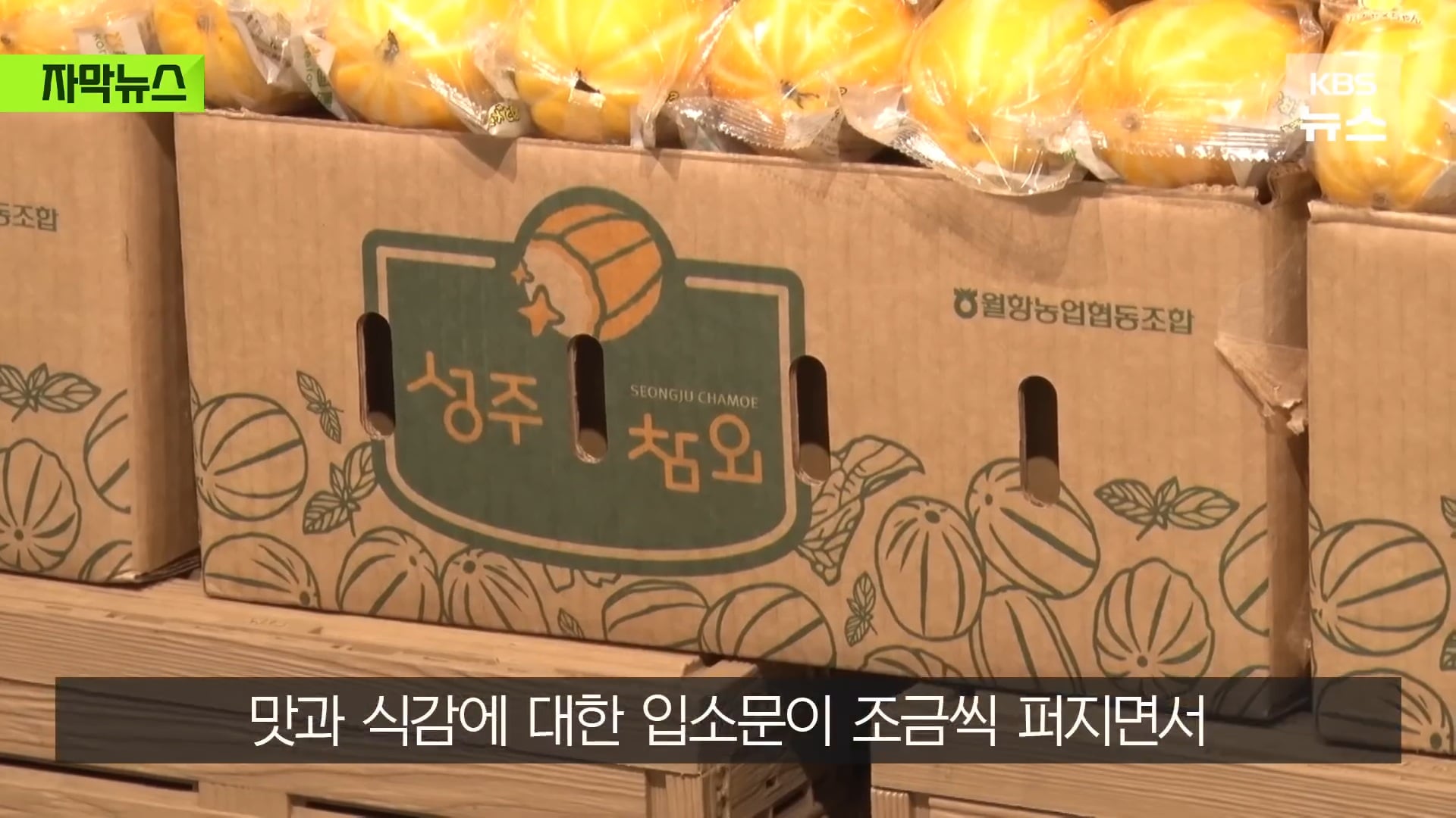 요즘 일본에서 인기 많아졌다는 한국 과일 | 인스티즈