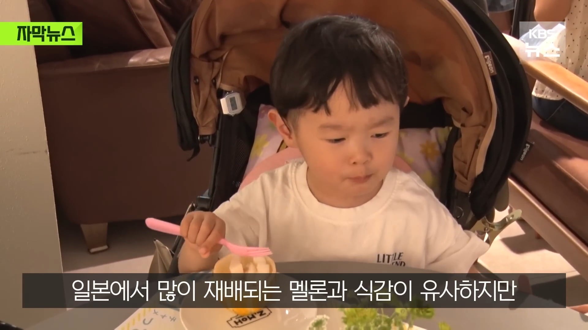 요즘 일본에서 인기 많아졌다는 한국 과일 | 인스티즈