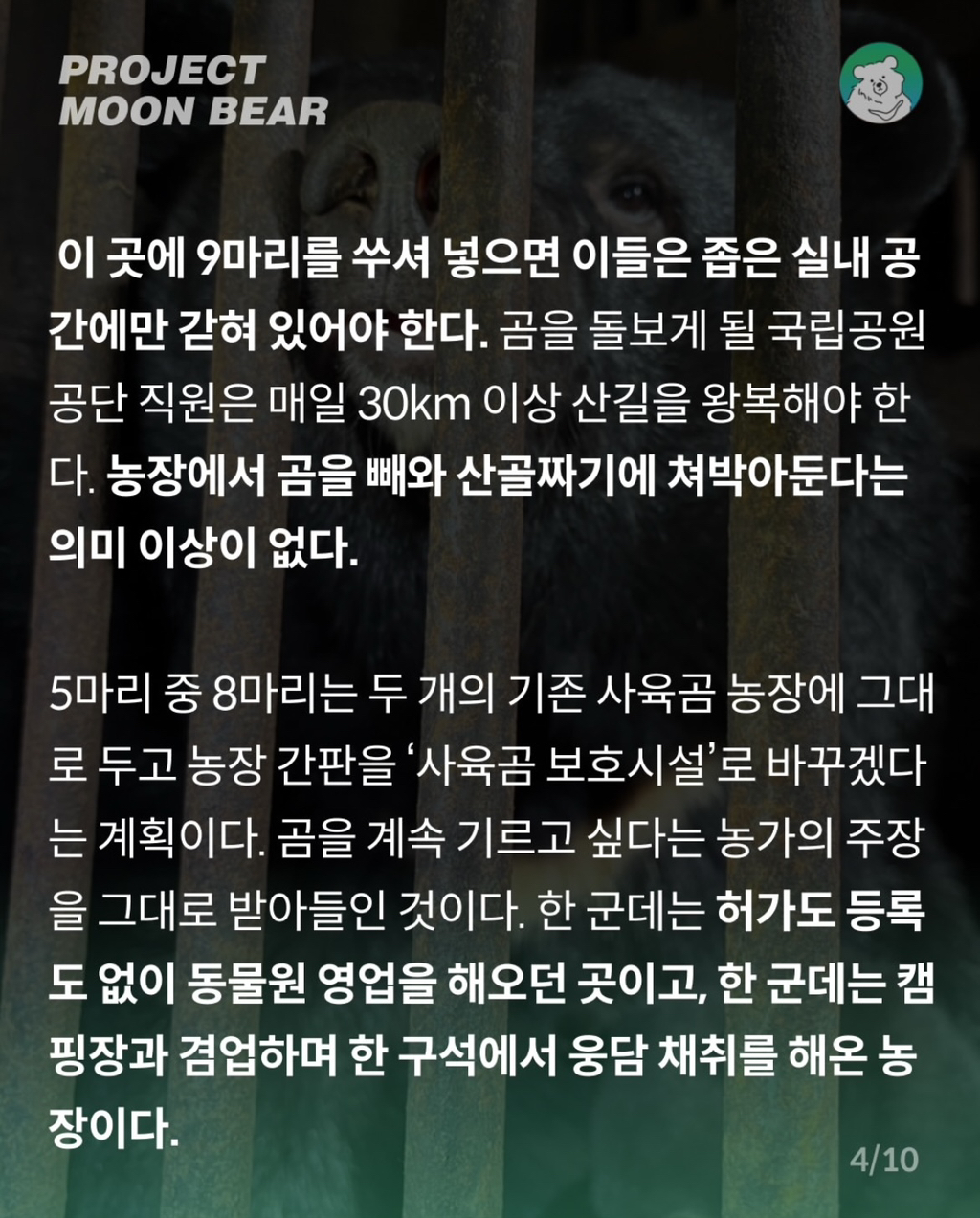 사육곰, 4억 2천만원의 지원금과 함께 체험형 동물원으로 가나? | 인스티즈