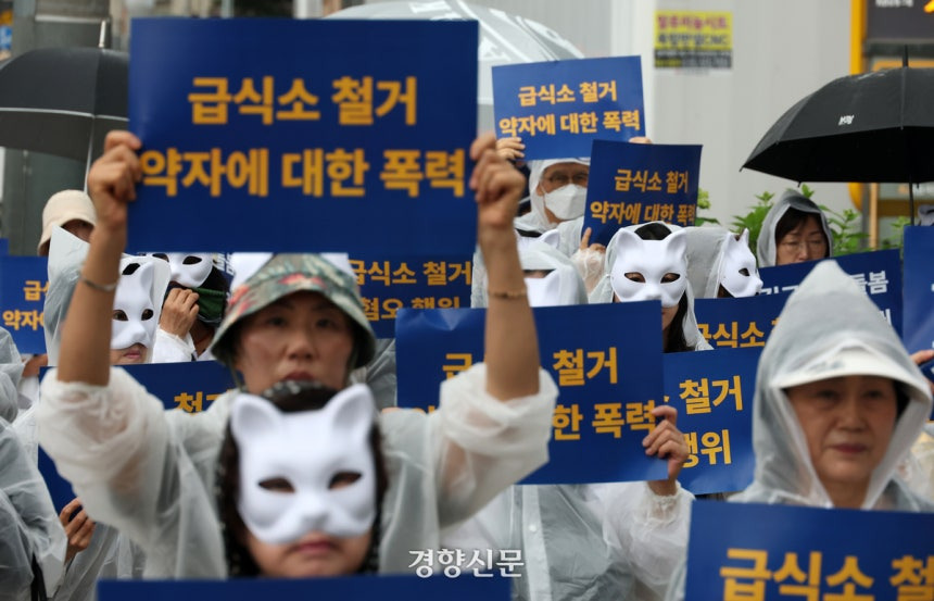 "길고양이도 함께 살아야”…급식소 철거 갈등에 '전국적 행동' 나선 시민들 | 인스티즈