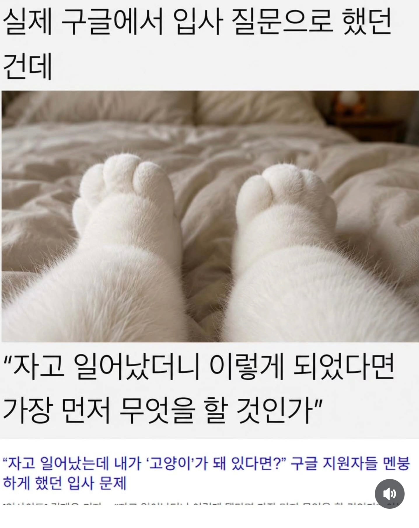 자고 일어났더니 이렇게 되었다면 | 인스티즈