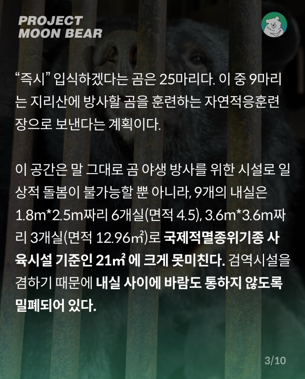사육곰, 4억 2천만원의 지원금과 함께 체험형 동물원으로 가나? | 인스티즈