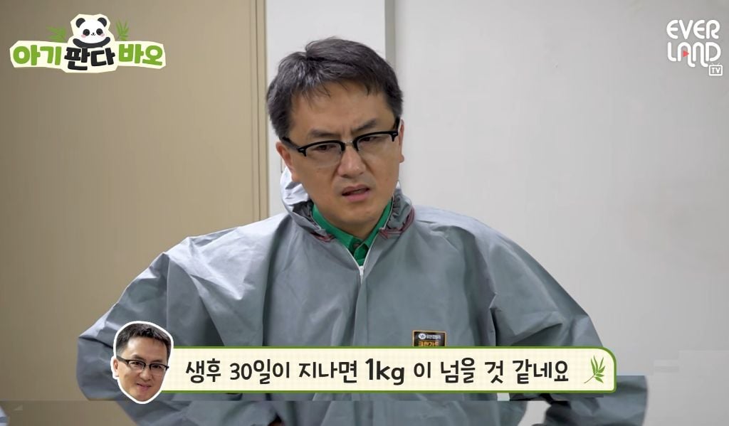 아이바오♡러바오네 막내딸 몸무게 근황 | 인스티즈
