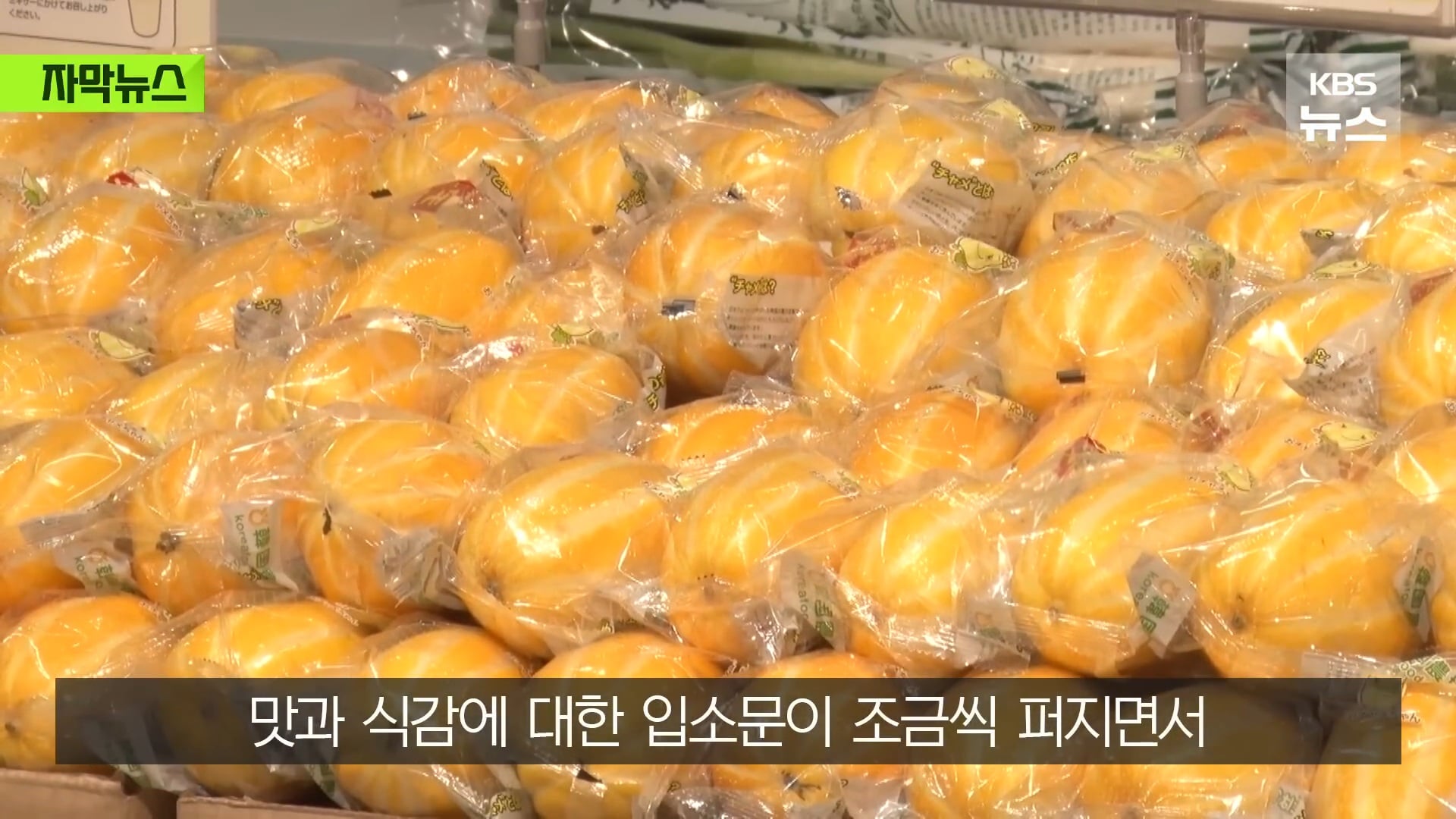 요즘 일본에서 인기 많아졌다는 한국 과일 | 인스티즈