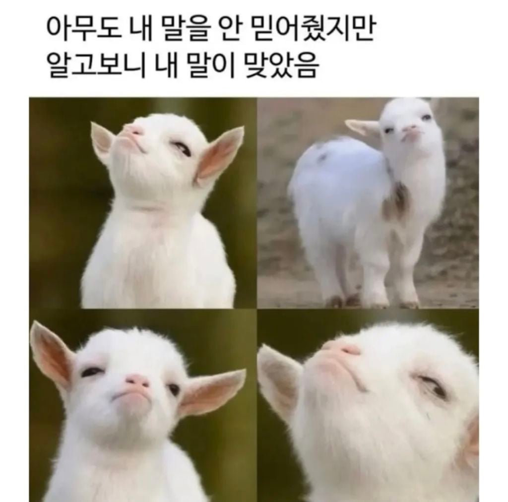 알고보니 내말이 맞았을때 | 인스티즈