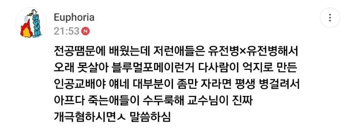 이제 하다하다 강아지 눈색깔까지 따지는 펫샵들 | 인스티즈