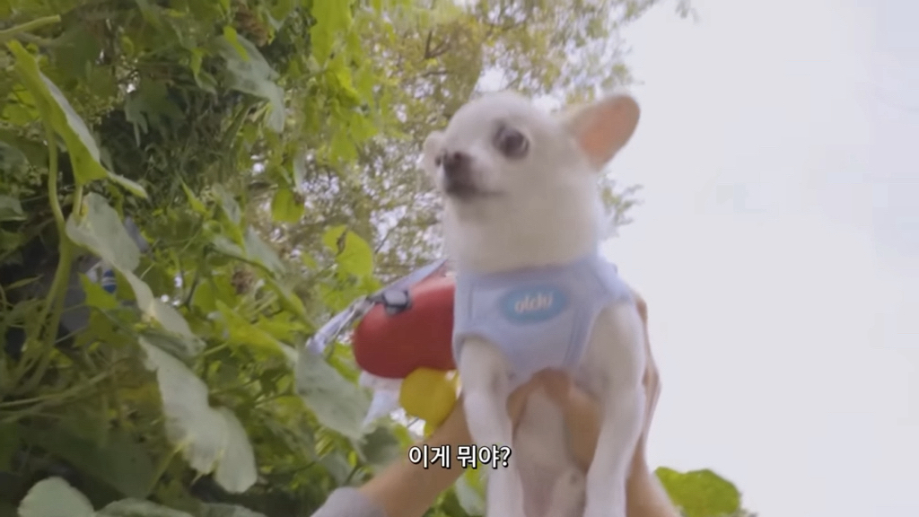 스위스 관광청 지원받고 스위스 여행간 하말넘많.jpg | 인스티즈