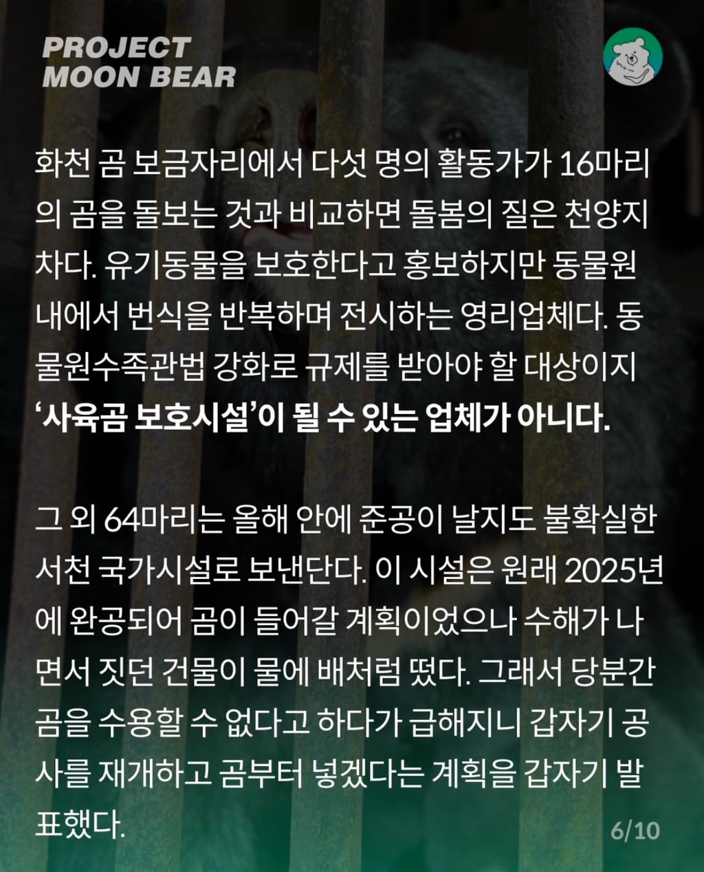 사육곰, 4억 2천만원의 지원금과 함께 체험형 동물원으로 가나? | 인스티즈