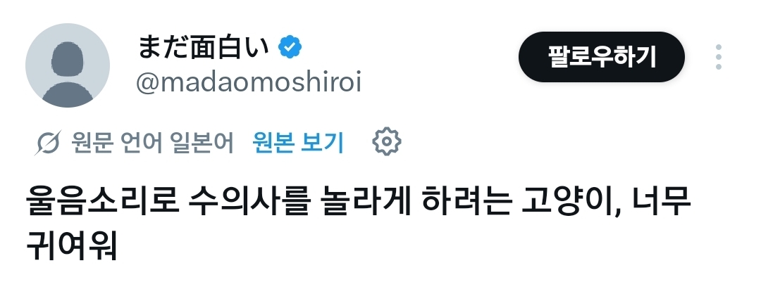 수의사에게 거칠게 항의하는 고양이 | 인스티즈