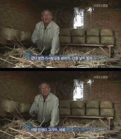 다큐 3일 레전드 모음 | 인스티즈