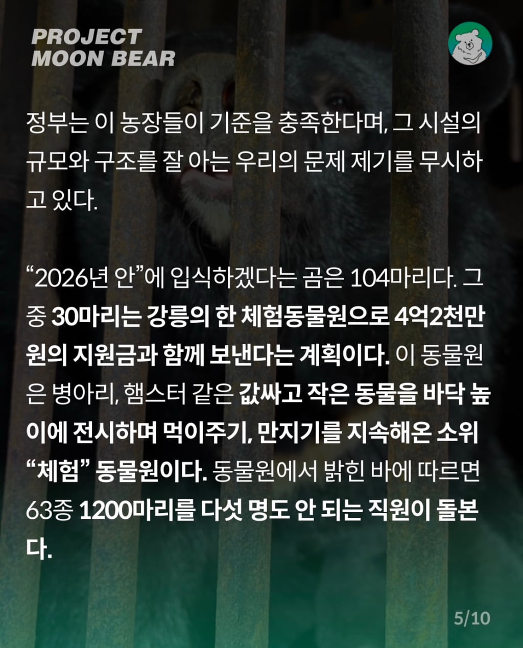 사육곰, 4억 2천만원의 지원금과 함께 체험형 동물원으로 가나? | 인스티즈