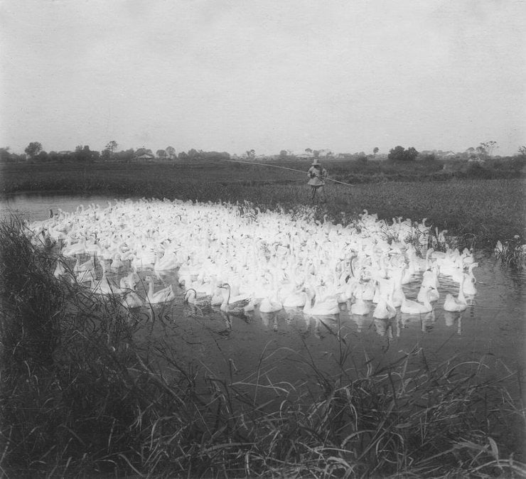 프랑스 사진가가 촬영한 100년 전 상하이 풍경 | 인스티즈