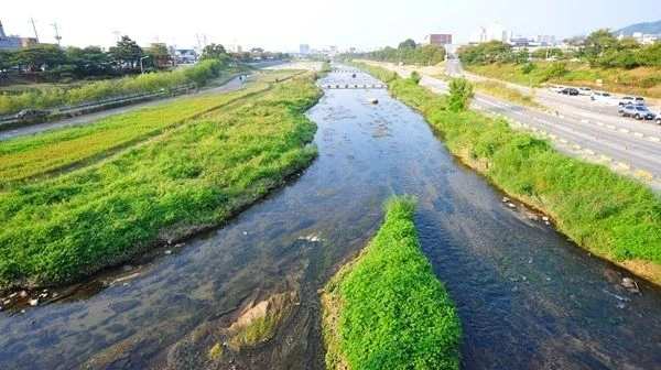간밤에 폭우가 내린 청주 무심천 근황 | 인스티즈