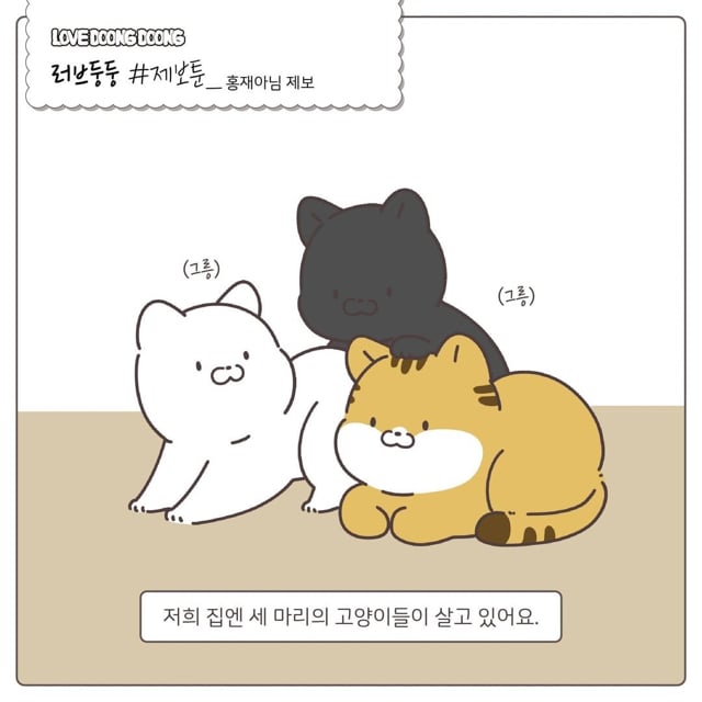 검은 고양이 깜돌이의 귀여운 버릇.jpg | 인스티즈