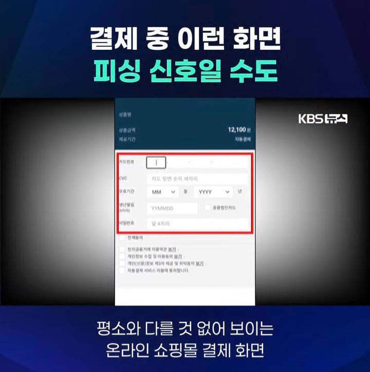 온라인 카드결제시 해킹페이지 유의 | 인스티즈