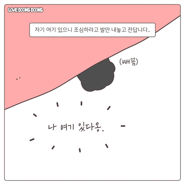 검은 고양이 깜돌이의 귀여운 버릇.jpg | 인스티즈