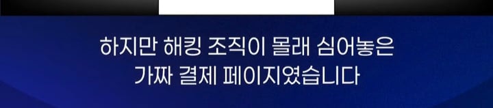 온라인 카드결제시 해킹페이지 유의 | 인스티즈