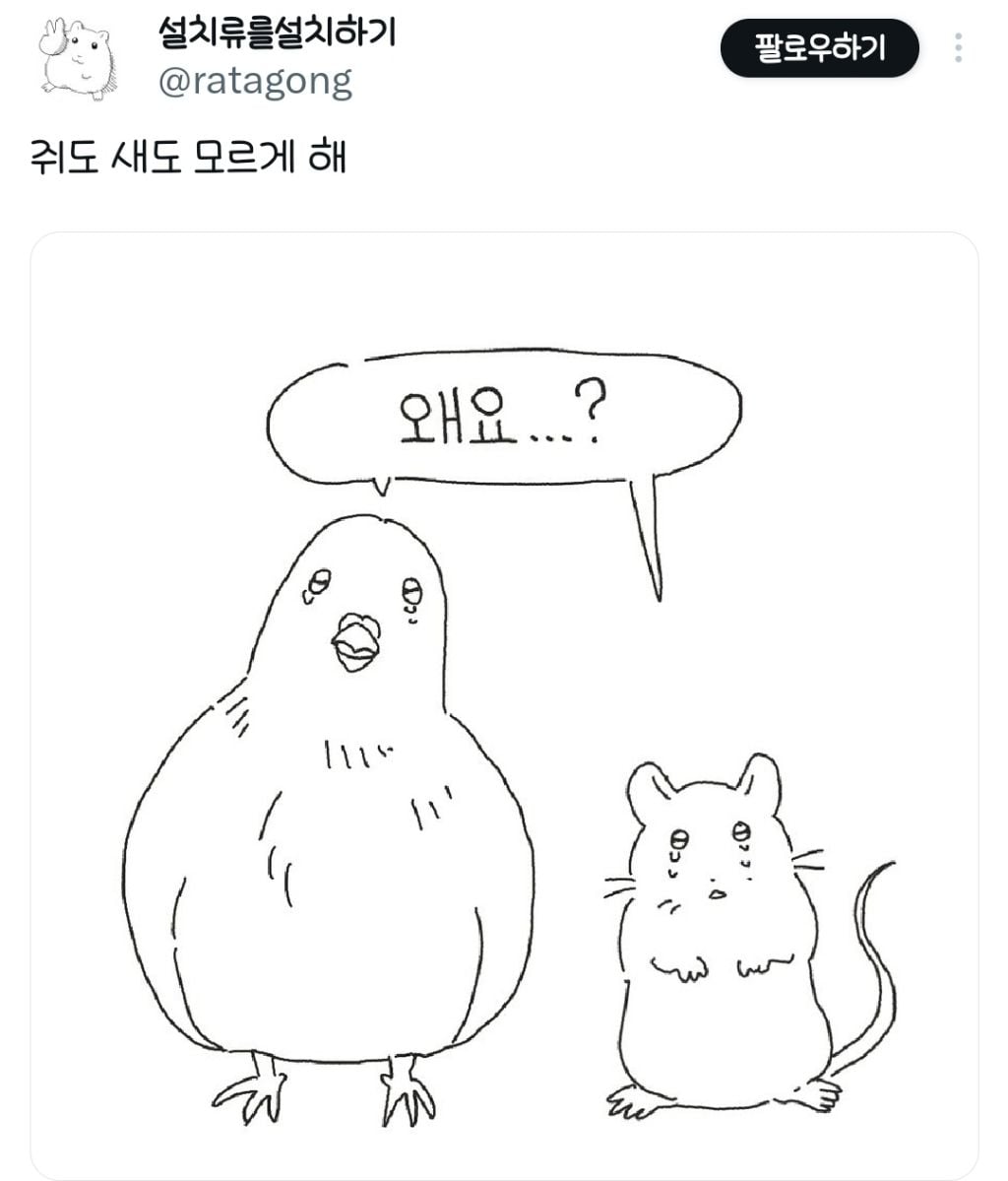 쥐도 새도 모르게 해.twt | 인스티즈