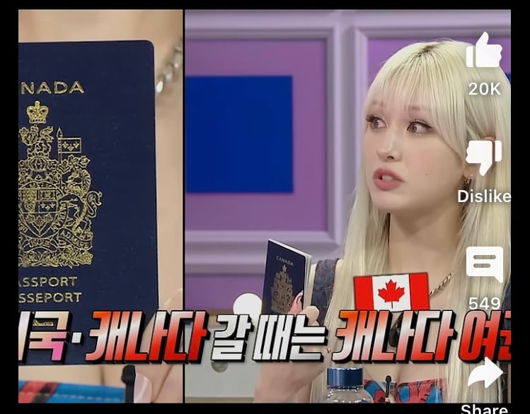 여권부자 전소미, 3개국 여권비교 | 인스티즈