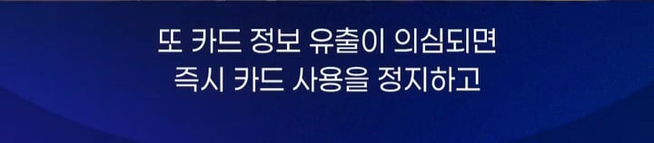 온라인 카드결제시 해킹페이지 유의 | 인스티즈